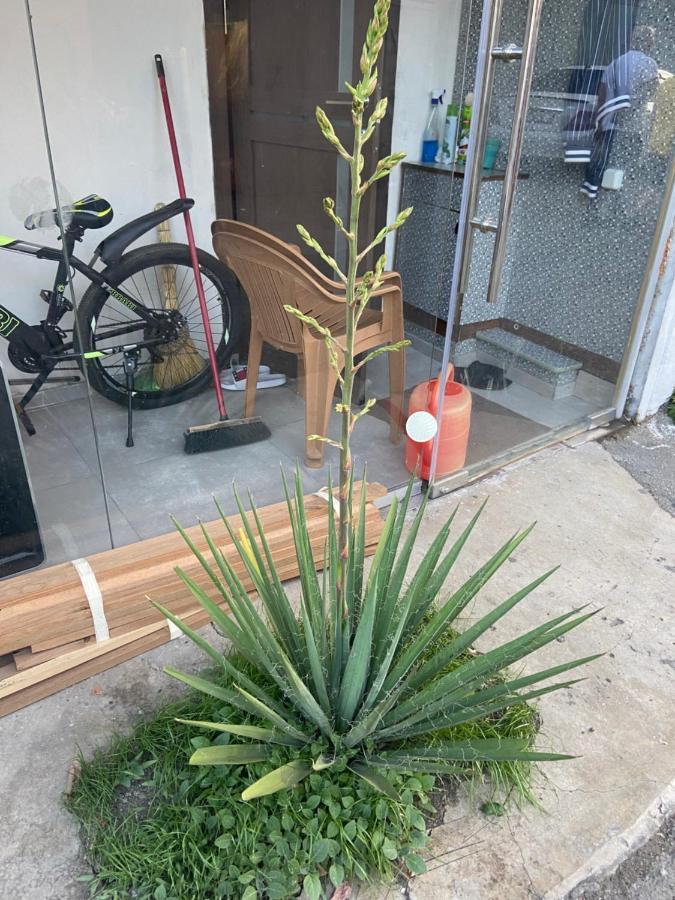耶烈万Vahe'S Family Guests House公寓 外观 照片